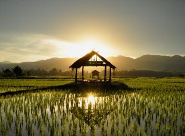 viaggio in laos i motivi per farlo
