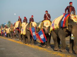 sayabouly laos la capitale degli elefanti