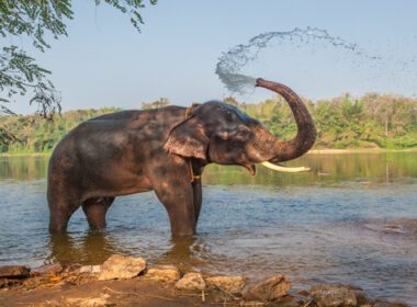 i dontorni di vientiane la capitale del laos