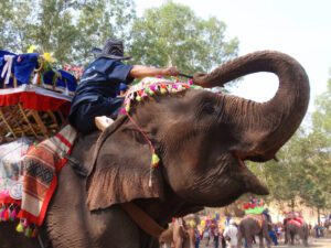 il festival degli elefanti in laos