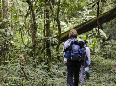 trekking in laos scopri i migliori itinerari
